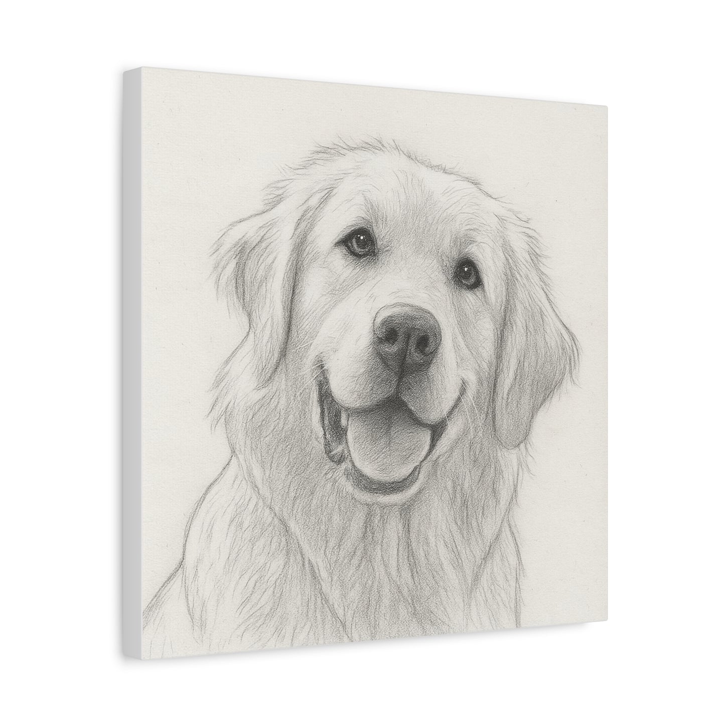 Cuadro personalizado de mascotas – Estilo dibujo a lápiz
