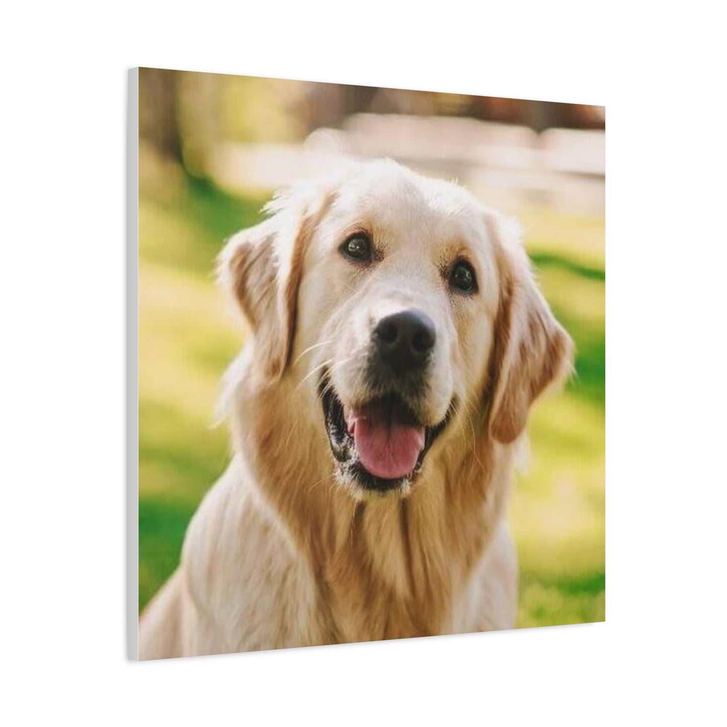 Cuadro personalizado de mascotas – Estilo realista