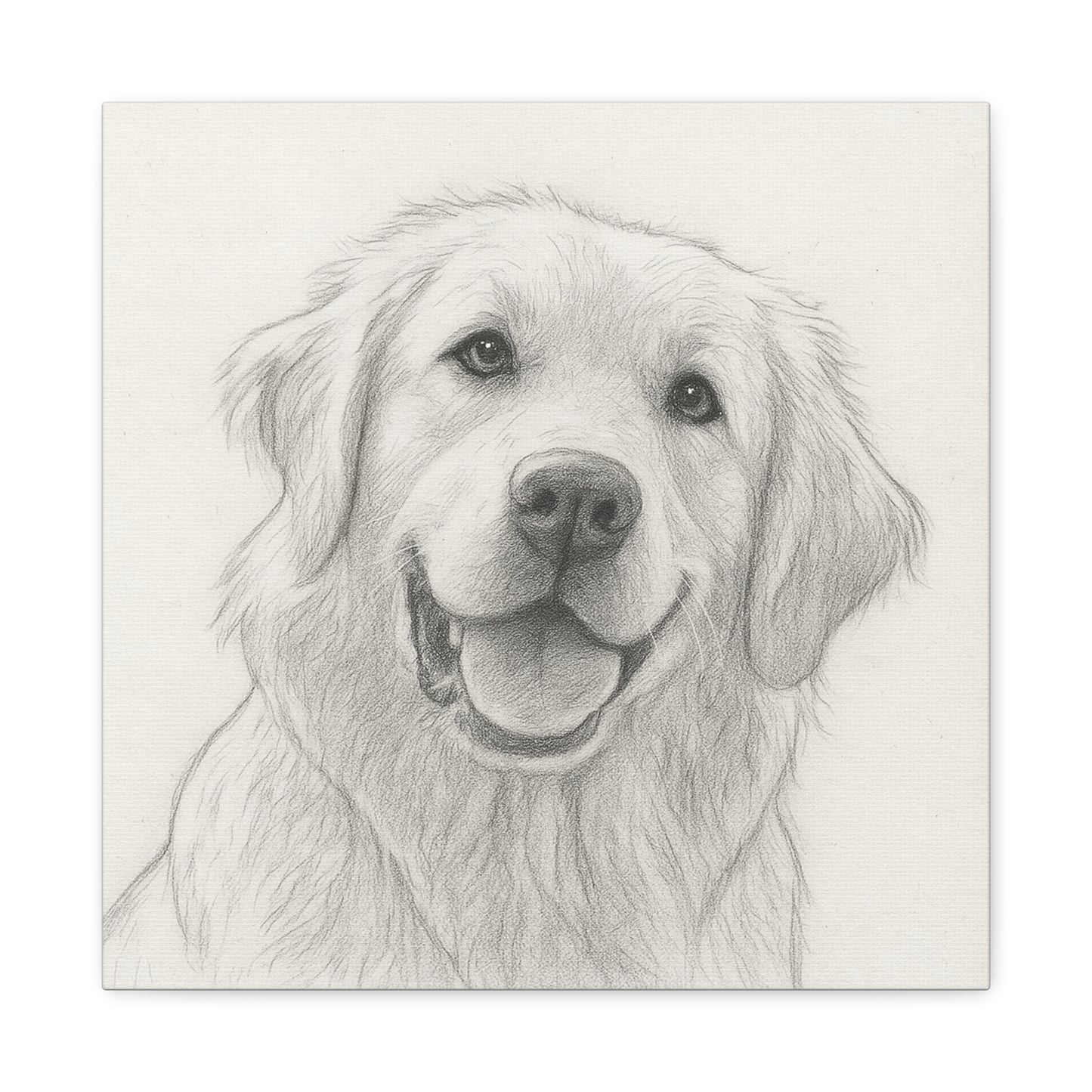 Cuadro personalizado de mascotas – Estilo dibujo a lápiz